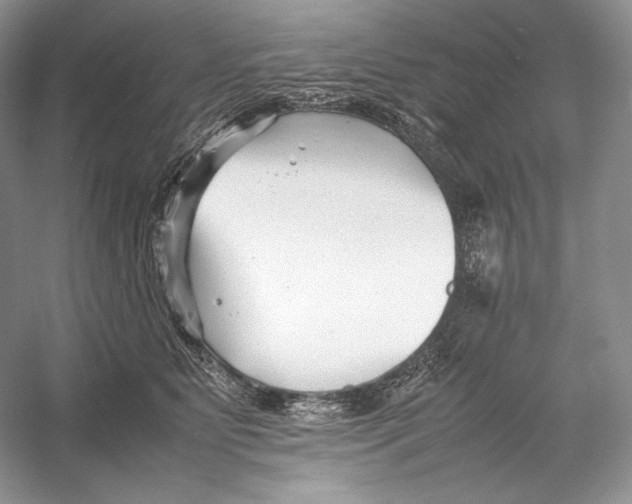 X0000052950515200508050925