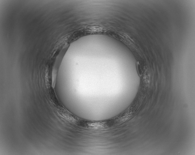 X0000052950516200508050925