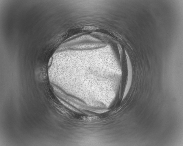 X0000052950517200508050925