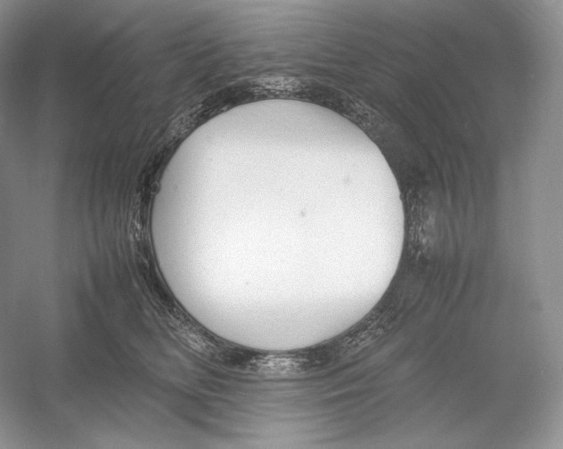 X0000052950518200508050925