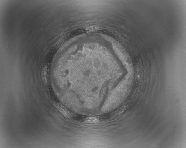 X0000052950519200508050925