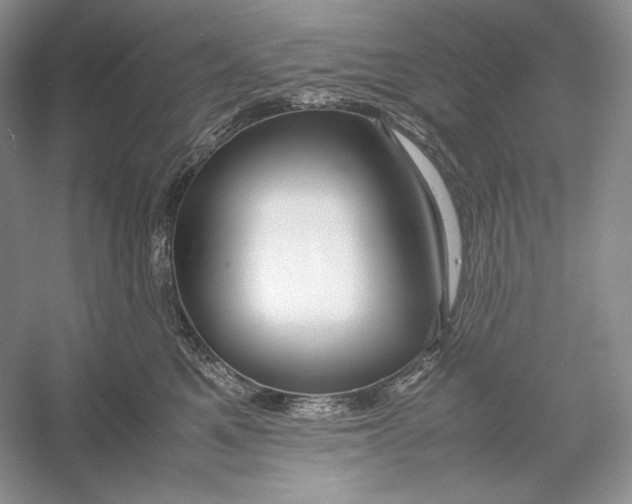 X0000052950521200508050925