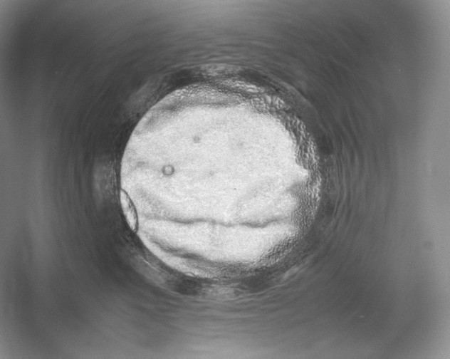 X0000052950523200508050925