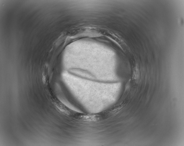 X0000052950524200508050925