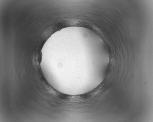 X0000052950525200508050925