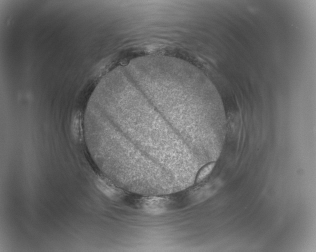 X0000052950527200508050925