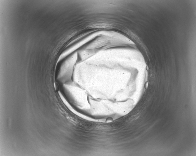 X0000052950529200508050924