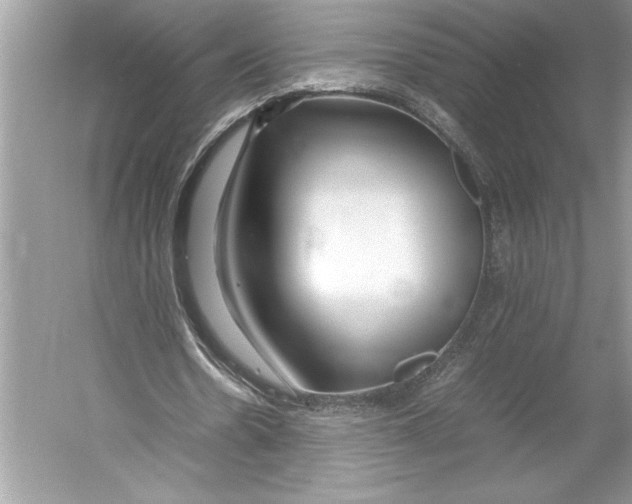 X0000052950530200508050924