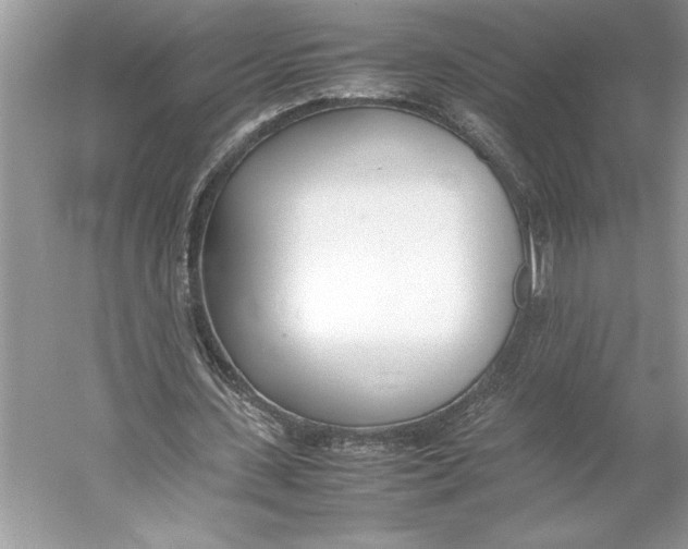 X0000052950531200508050924