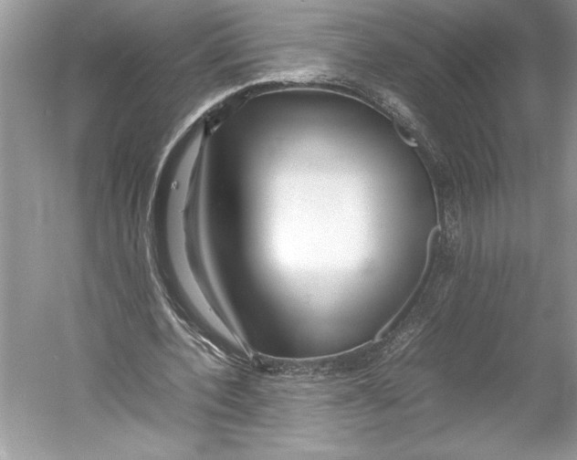 X0000052950532200508050924