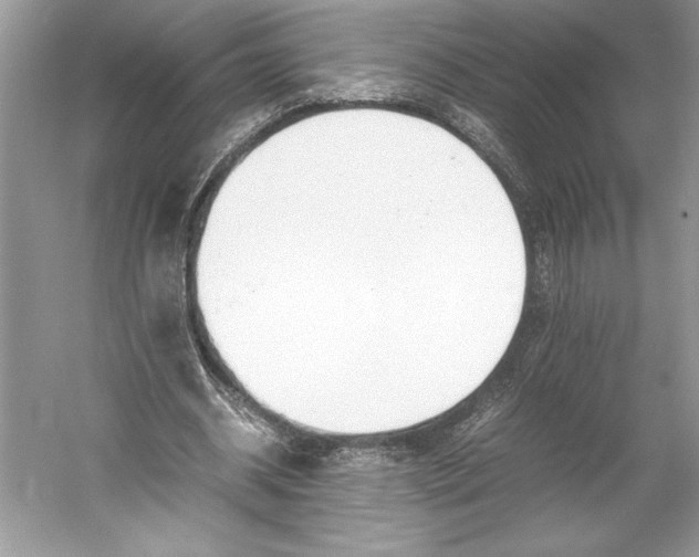 X0000052950534200508050924