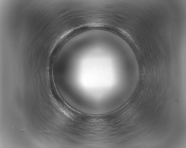 X0000052950535200508050924