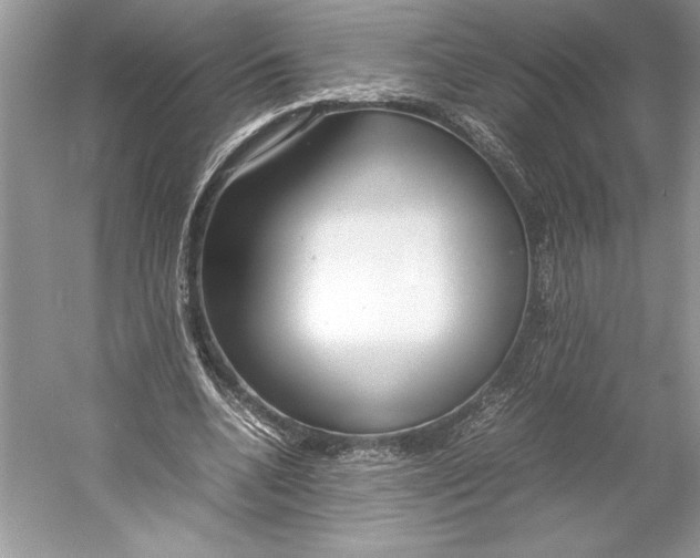 X0000052950536200508050924