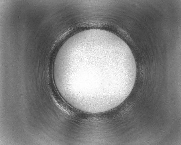 X0000052950538200508050924