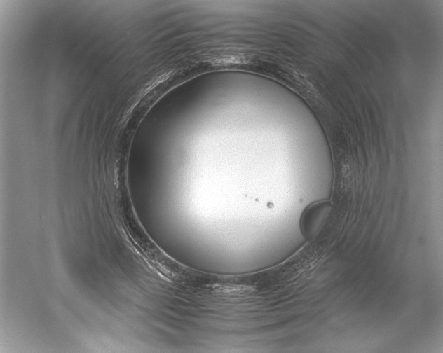 X0000052950539200508050924