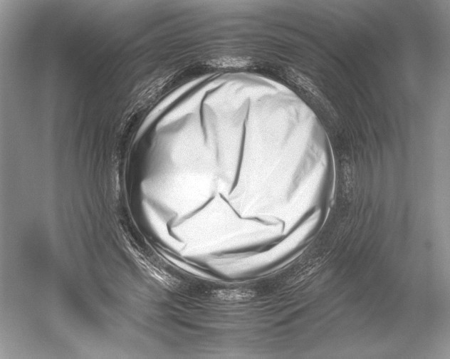 X0000052950541200508050925