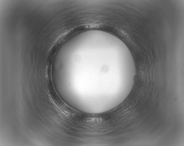 X0000052950543200508050925