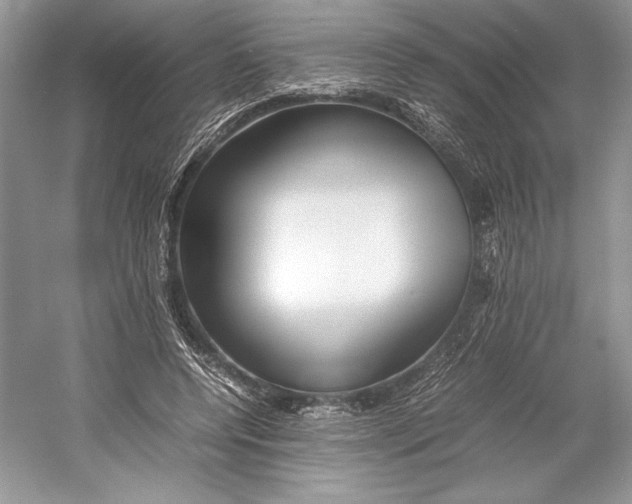 X0000052950544200508050925