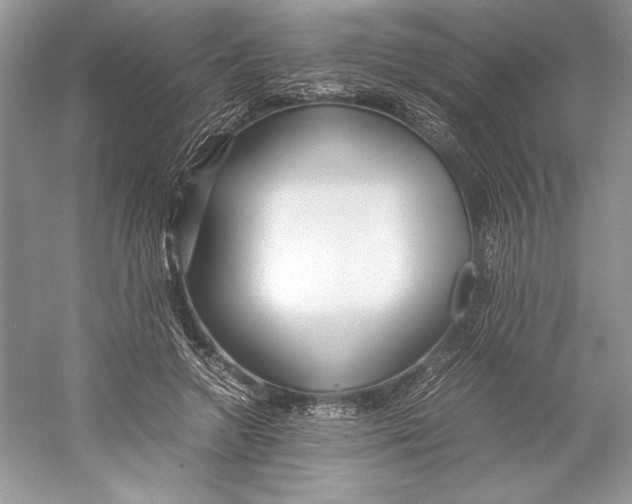 X0000052950546200508050925