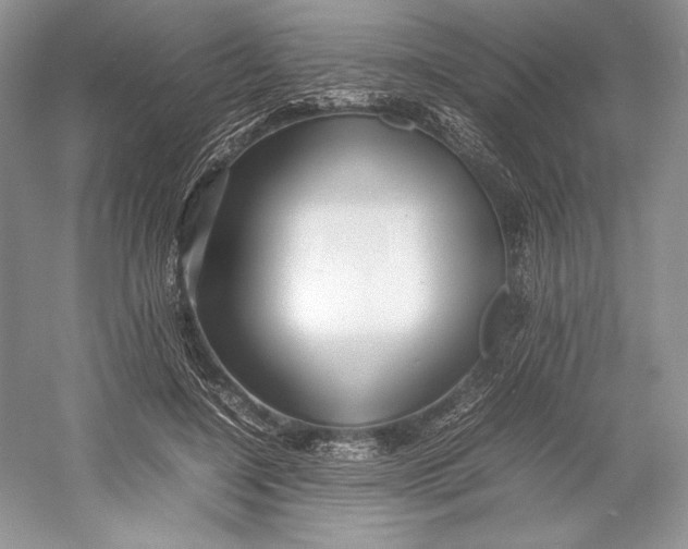 X0000052950548200508050925