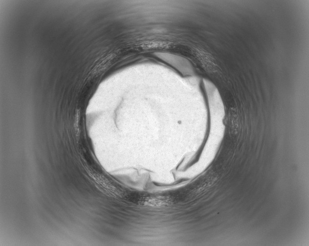 X0000052950550200508050925