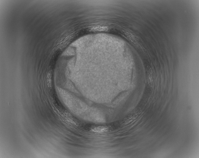 X0000052950551200508050925