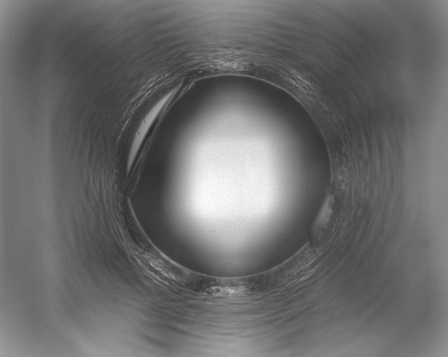 X0000052950552200508050925