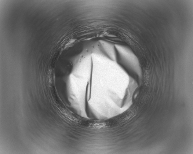 X0000052950554200508050925