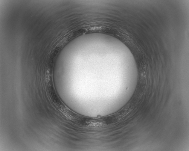 X0000052950555200508050925