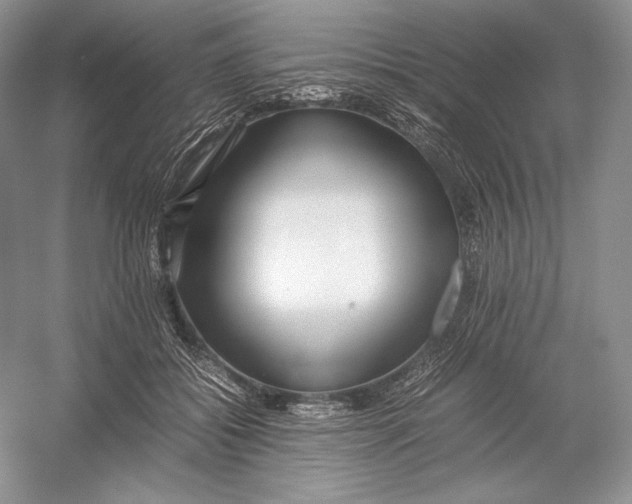 X0000052950556200508050925