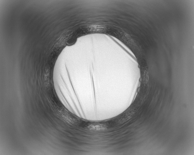 X0000052950557200508050925