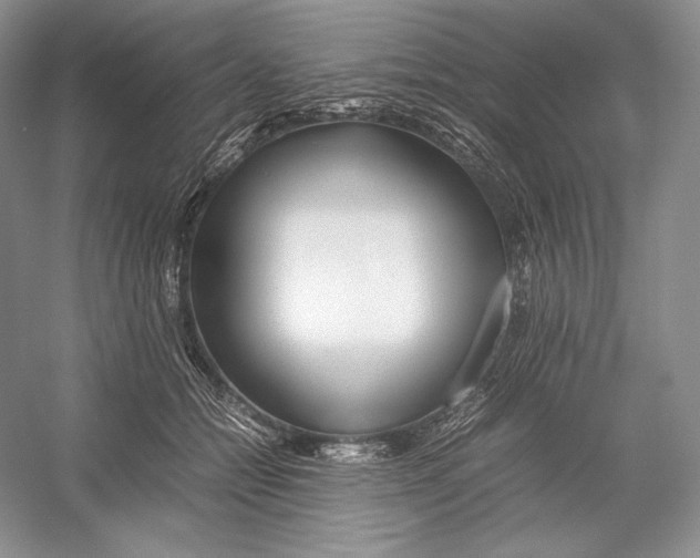 X0000052950558200508050925