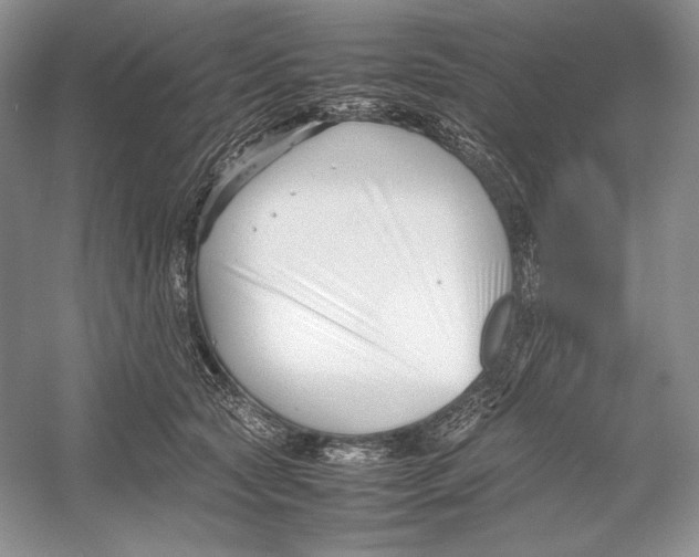 X0000052950561200508050925