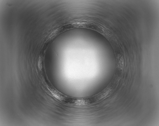 X0000052950562200508050925