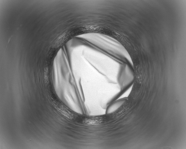 X0000052950563200508050925