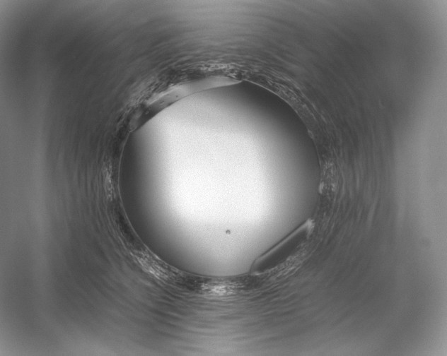 X0000052950564200508050925