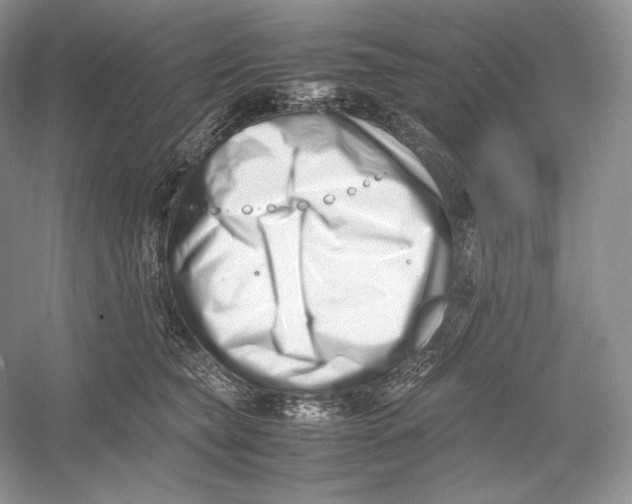 X0000052950565200508050925