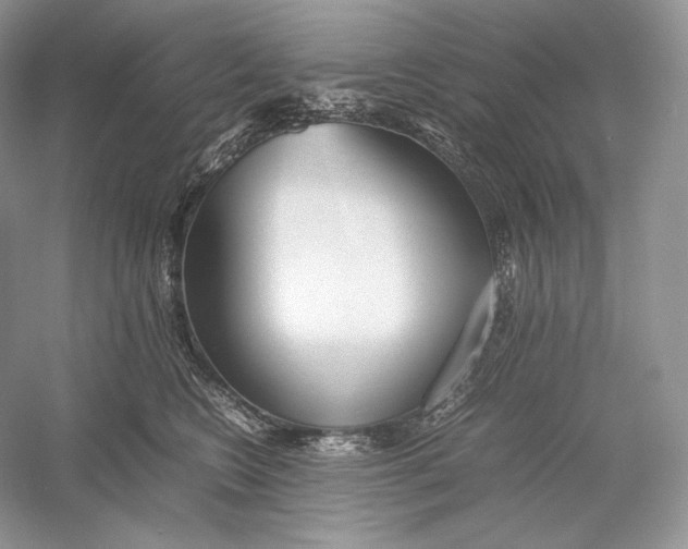 X0000052950566200508050925