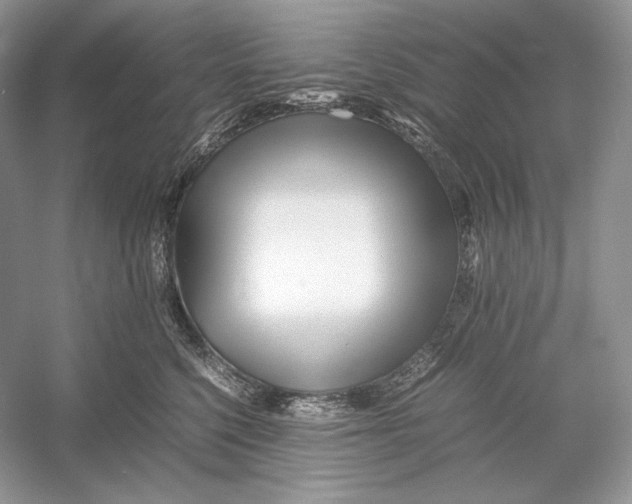 X0000052950568200508050925