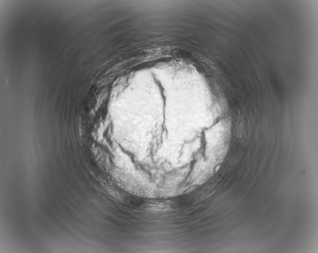 X0000052950569200508050925