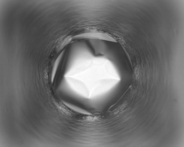 X0000052950570200508050925