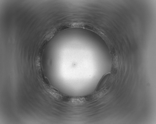 X0000052950571200508050925