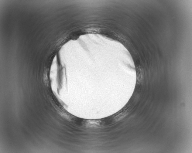 X0000052950573200508050925