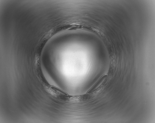 X0000052950574200508050925