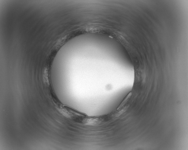 X0000052950575200508050925