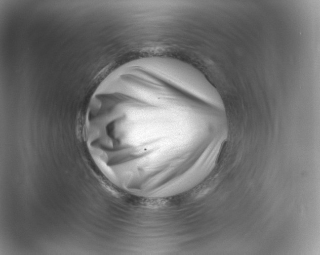 X0000052950576200508050925