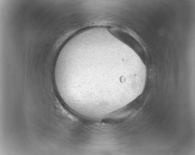 X0000052950577200508050924