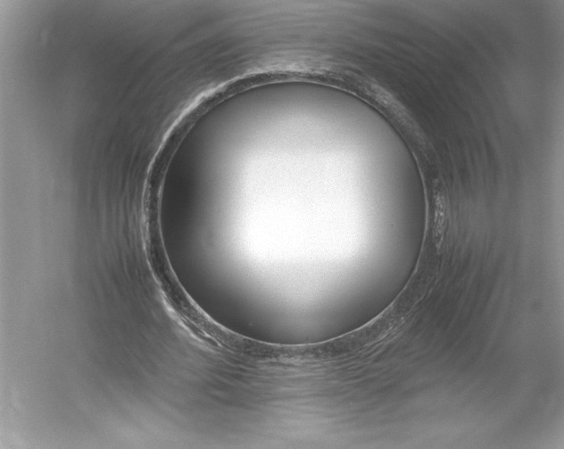 X0000052950580200508050924