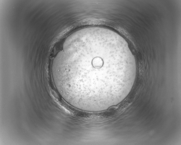 X0000052950581200508050924