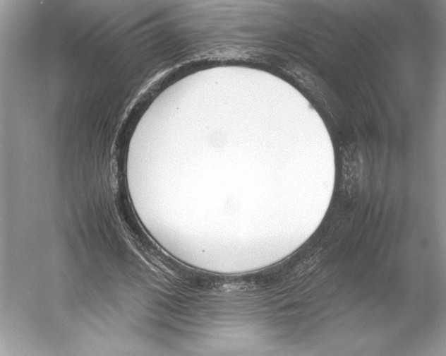 X0000052950584200508050924